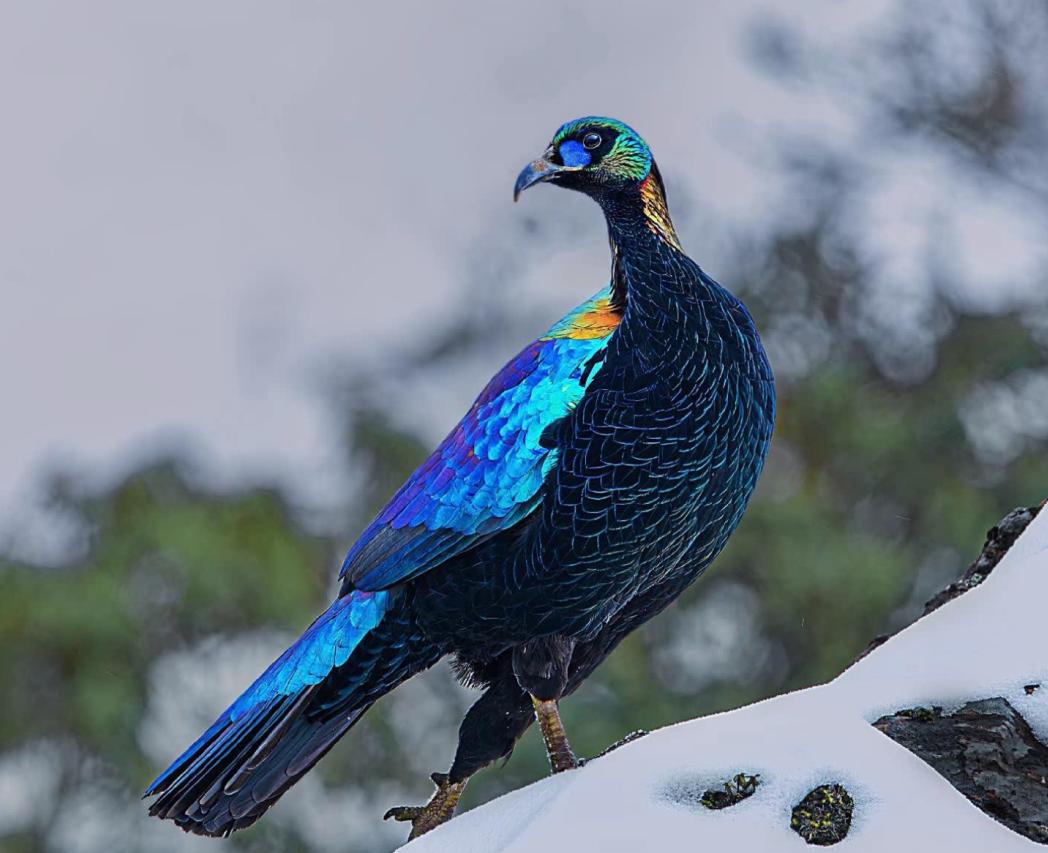 2022.9.12学习笔记