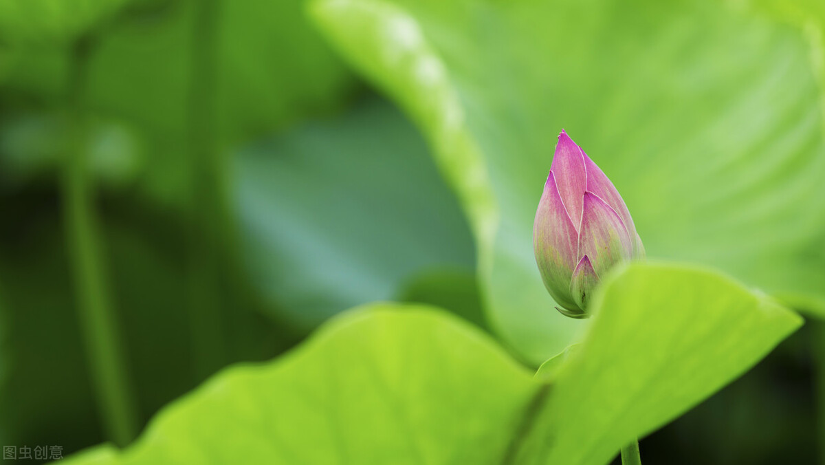 空调扇比空调更省电费吗,空调扇比电风扇好吗