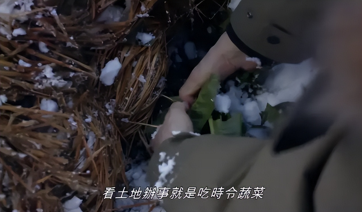 太治愈了！这才是成年人该看的岛国片