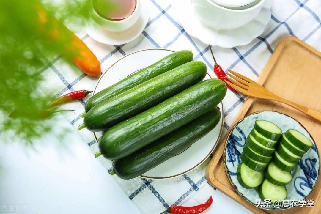 大餐后暴食如何补救,午餐暴食后怎么补救