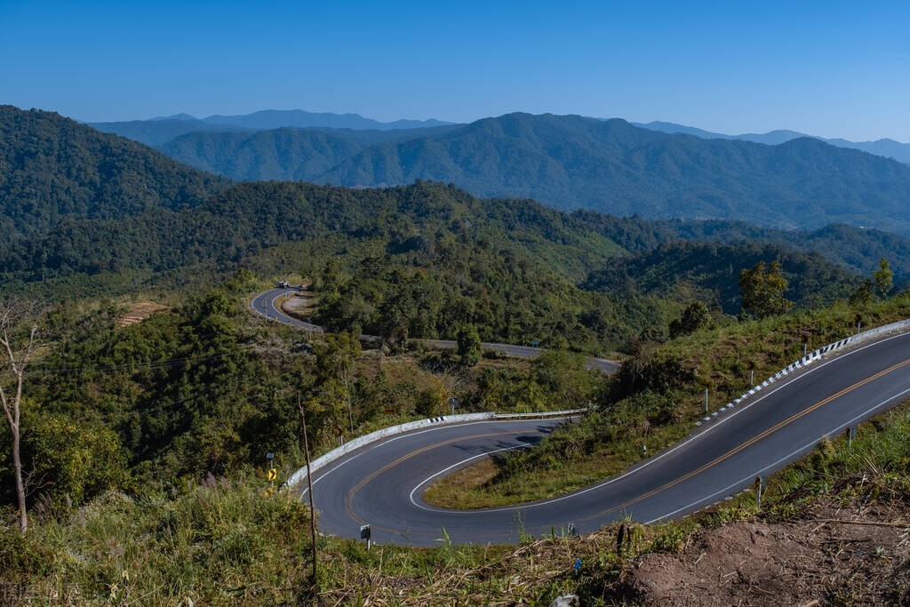作业的育人功能有哪些,作业育人功能