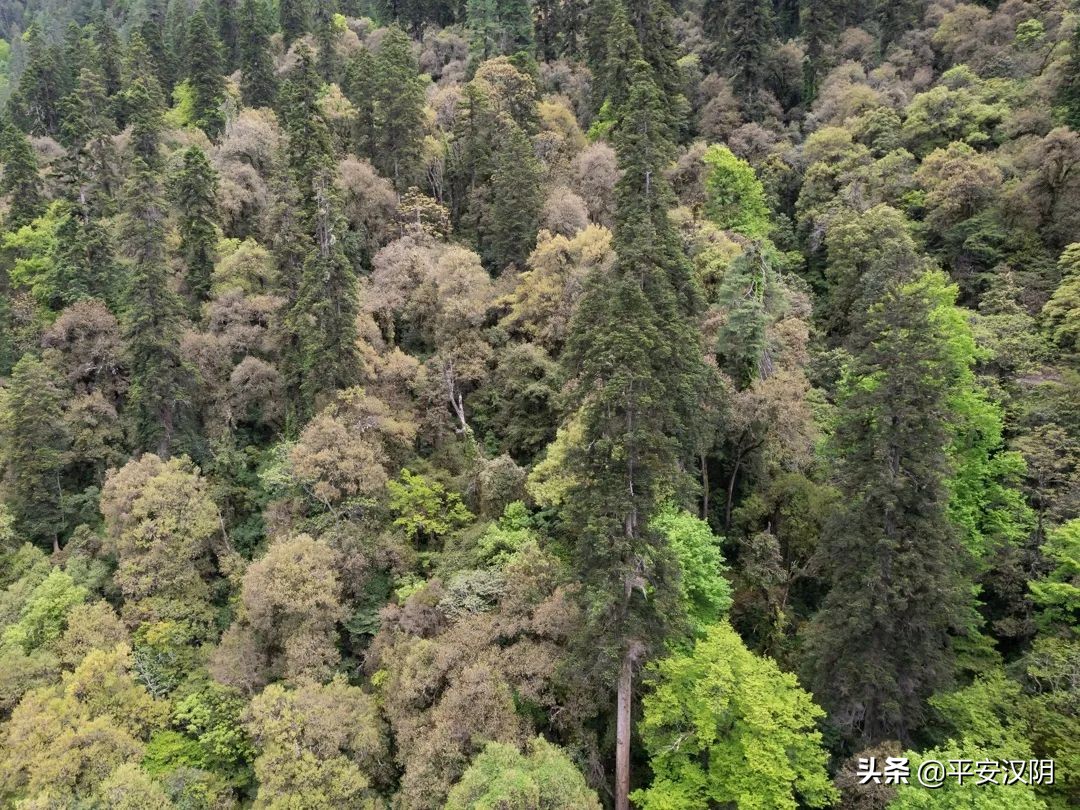 西安市内公交出行最新通知,今日西安出行最新通知