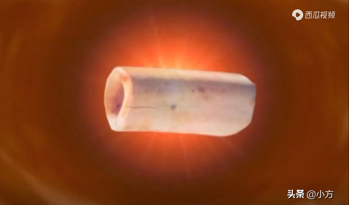 佛教圣物舍利子,佛教释迦牟尼的传说