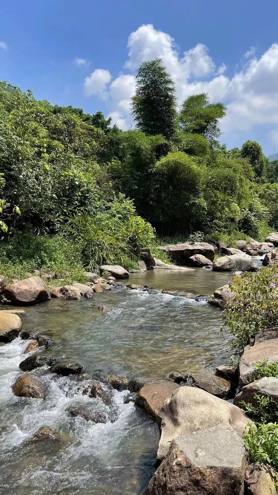 夏天厦门三亚北海到底选哪个好玩,厦门夏天哪个景区最好