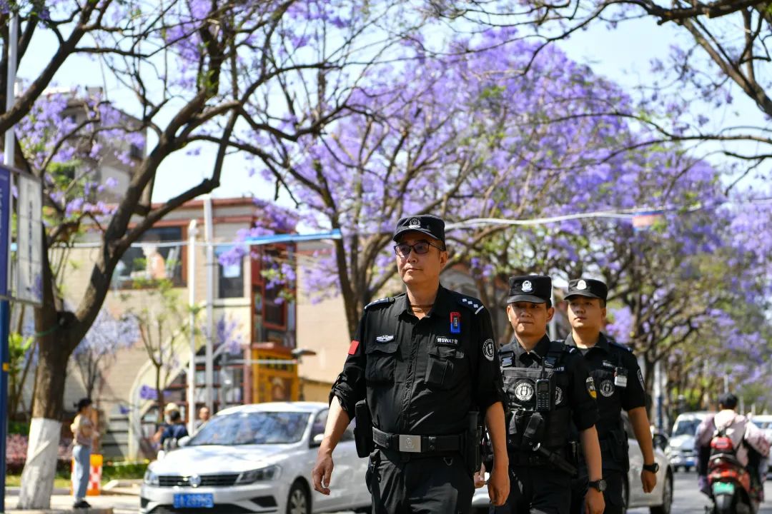 芸儿美美美美美,美美美美美美美英文