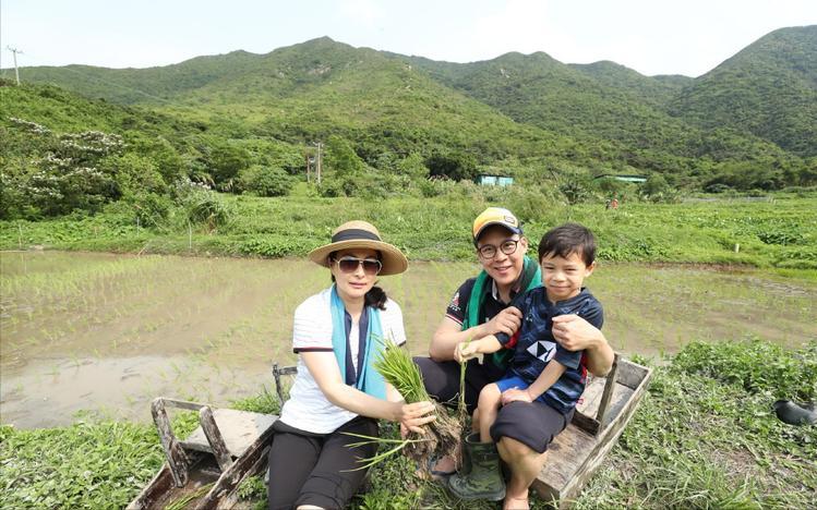 郭晶晶下嫁霍家后为何如此低调,下嫁霍启刚的郭晶晶曝光家庭地位