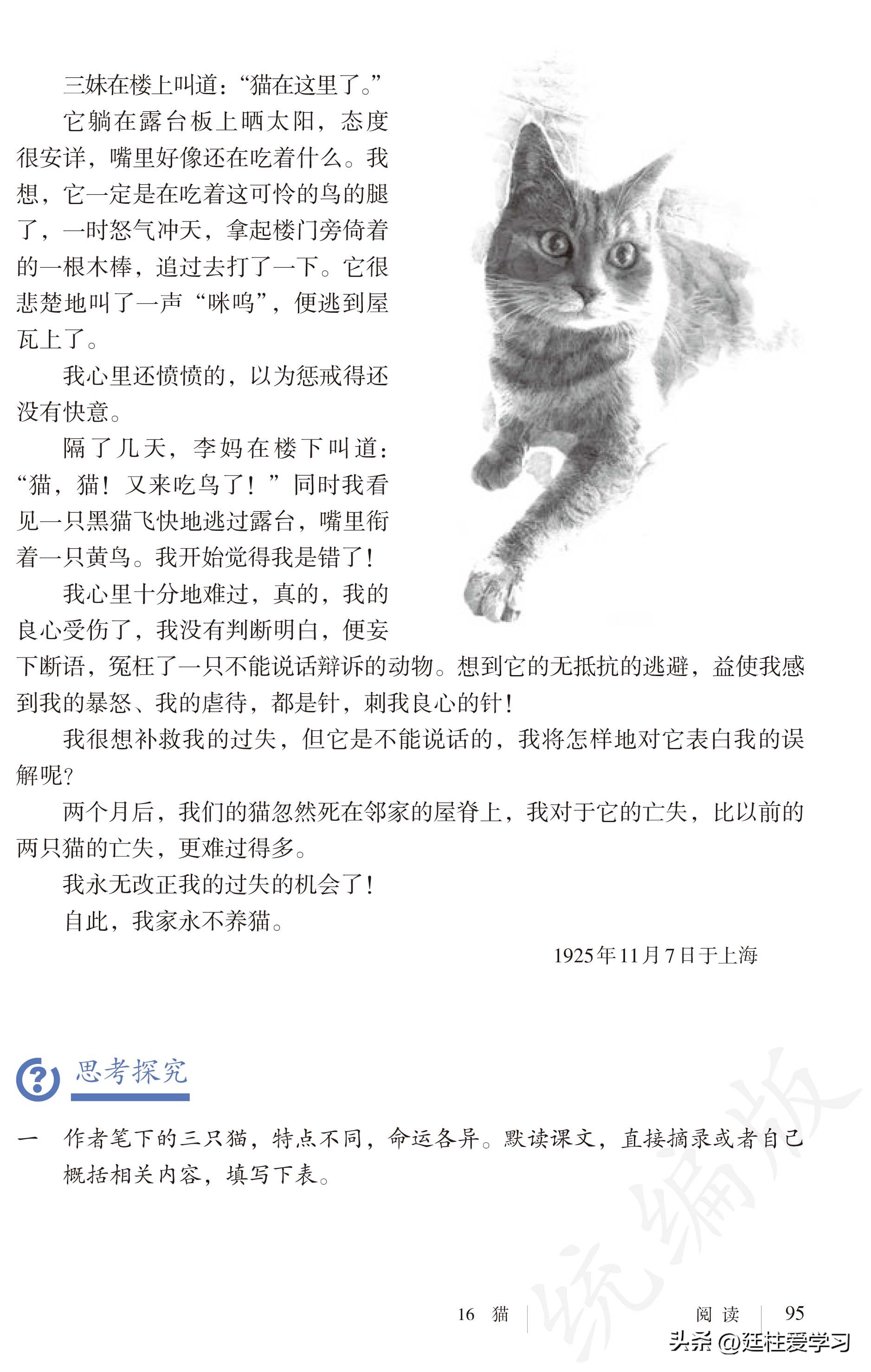 语文七年级上册电子版,语文七年级上册电子版课时练