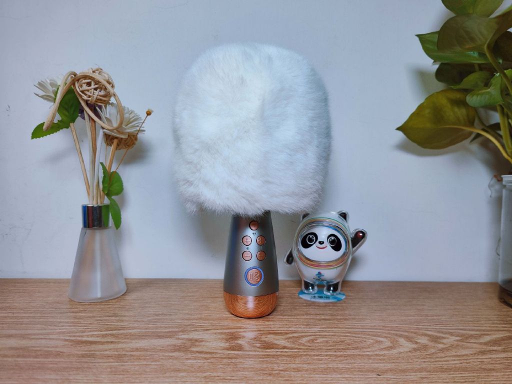 米家k歌麦克风和唱吧k歌宝,唱吧k歌宝麦克风小巨蛋g3