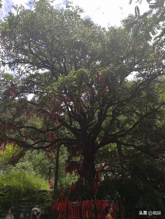 西安香格里拉消费价格,西安香格里拉在哪个区
