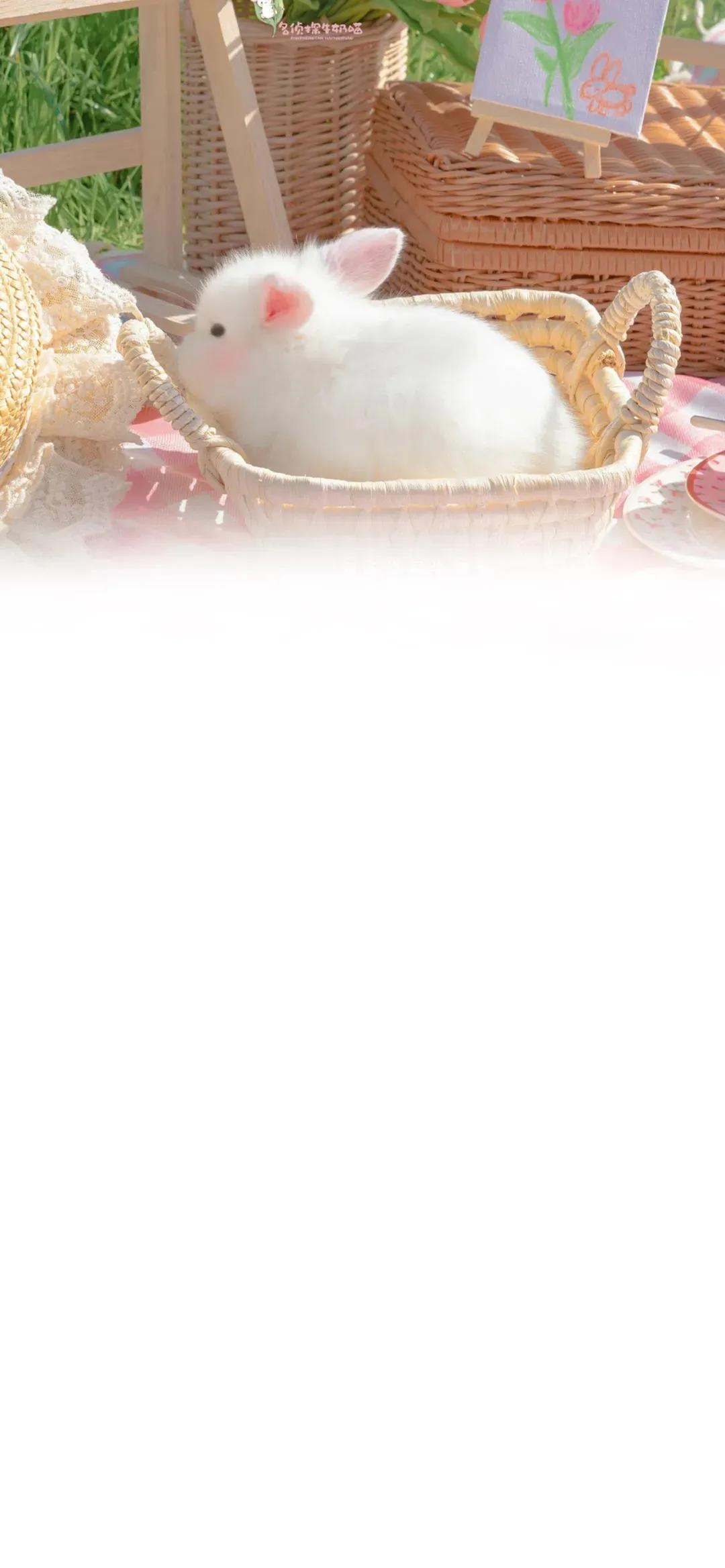 渐变晕染聊天背景图,渐变式聊天背景图