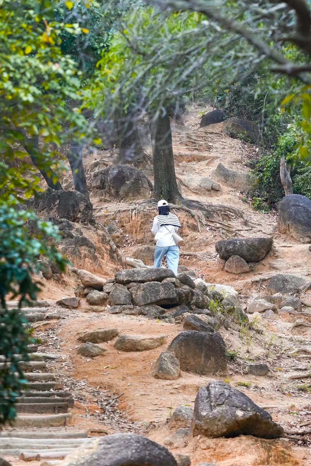 福田必去十大网红景点,福田哪里最值得去玩