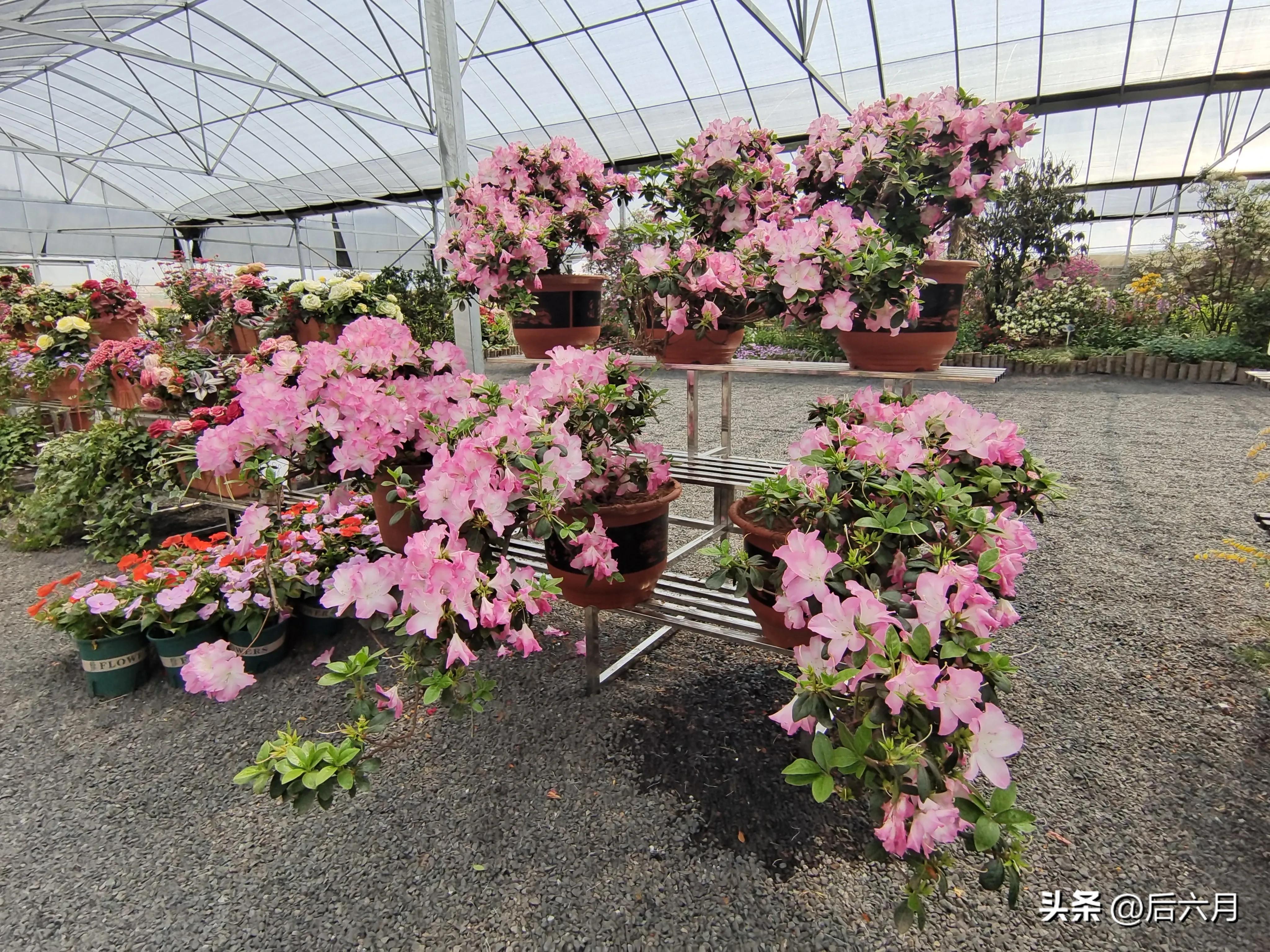 途游西海岸l无比方花园，杨家山里新添网红打卡地