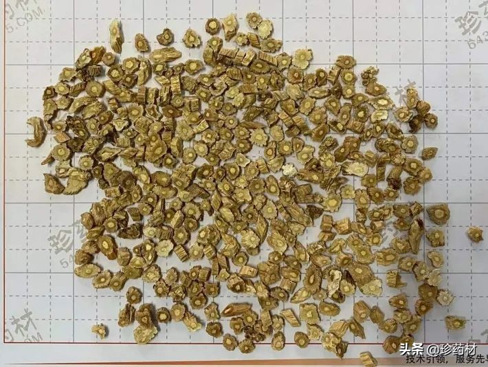 12月23日中药材市场快讯：三七、红景天、白茅根、猫爪草、菟丝子