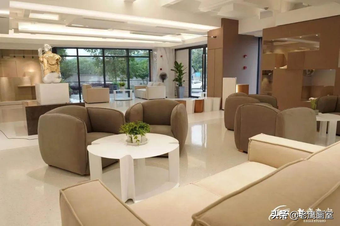 老鹰画室精品班和进阶班,成都老鹰画室和成都艺考画室