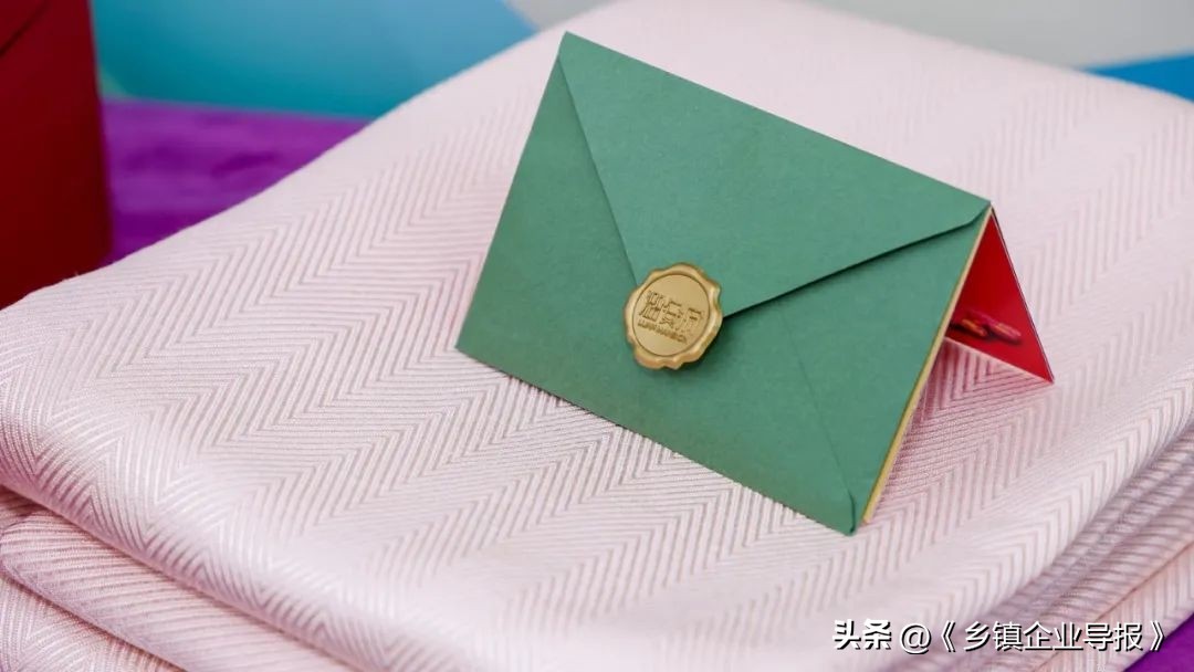 乡村振兴赋能计划人才典型案例,乡村振兴之文化振兴案例