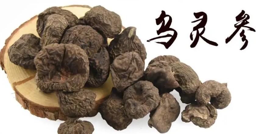 长在白蚁窝里的菌类,白蚁窝长什么蘑菇