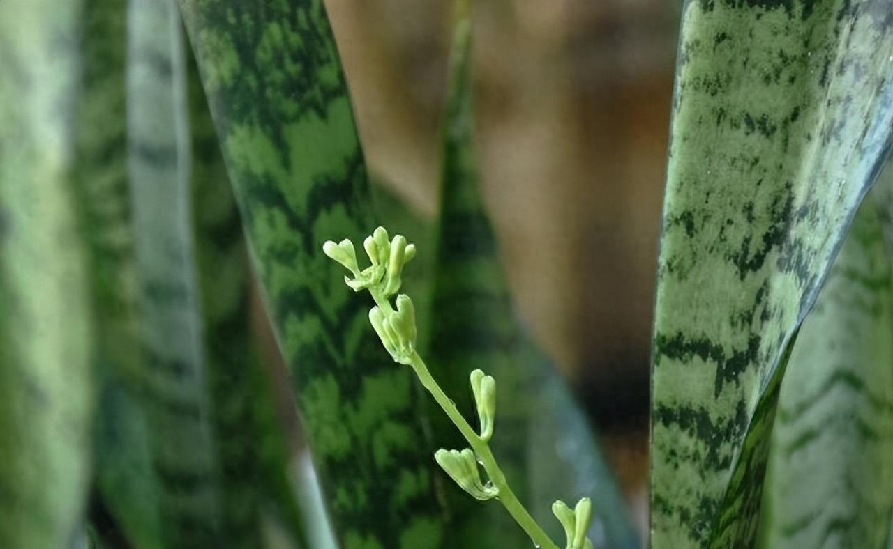 我68岁和老伴过夫妻生活时，无意发现他下身变小了，还能还原吗？