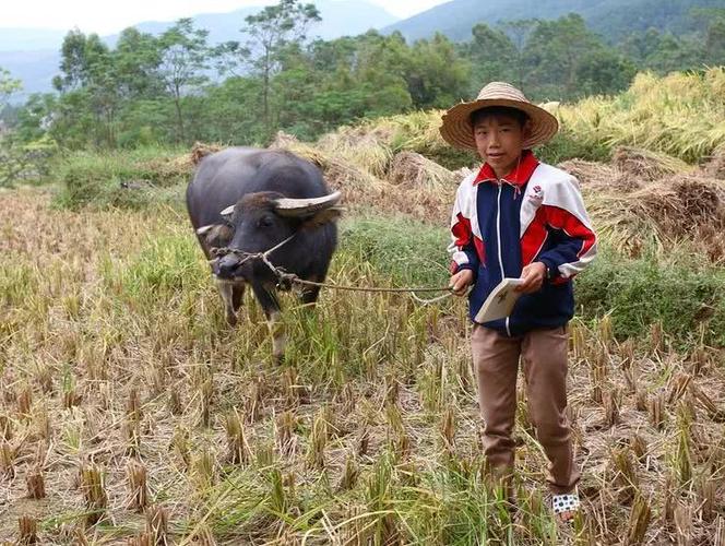 有福之人六月生无福之人腊月生,有福之人真的都生在六月吗