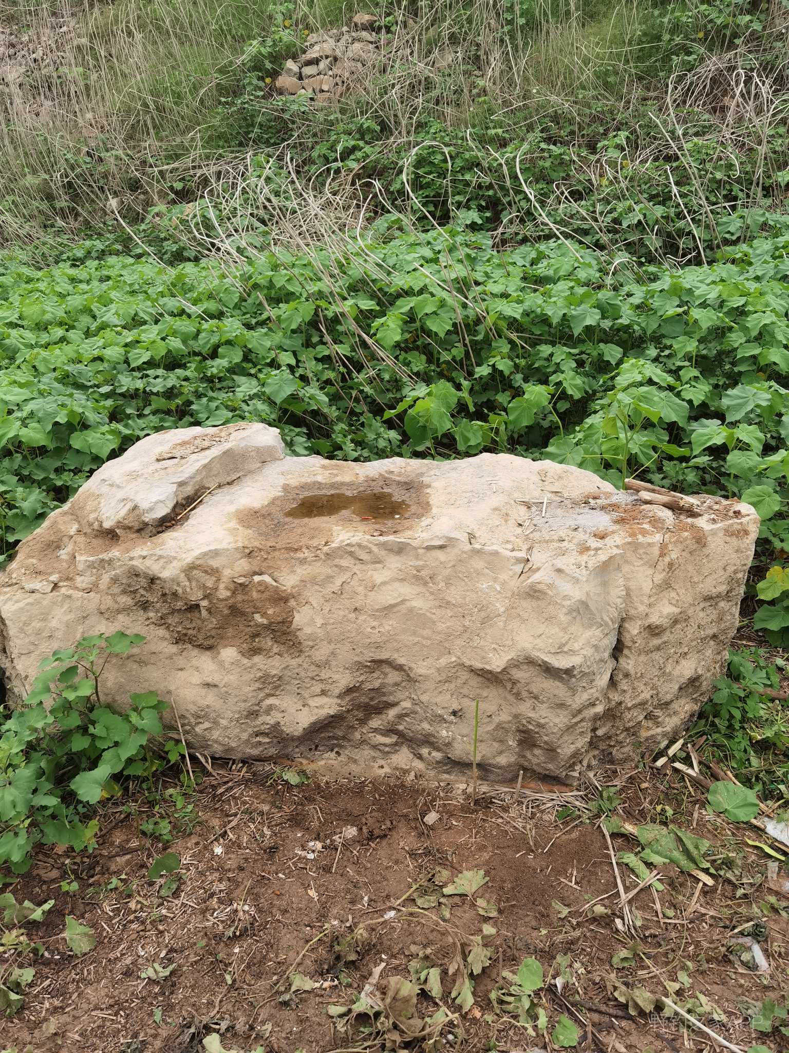 垂钓位置小浪底,小浪底垂钓秘籍