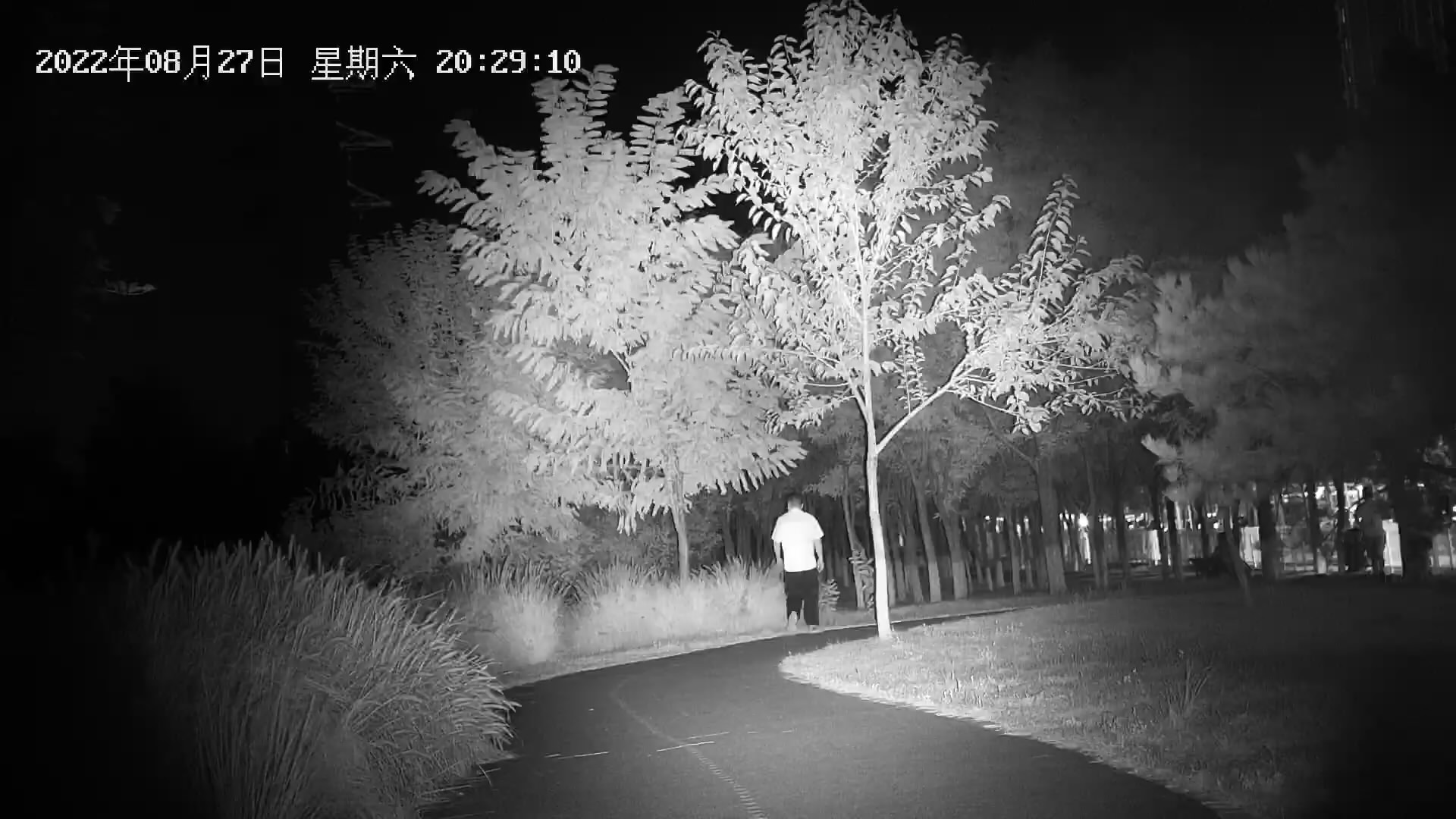 奥尔法g120夜视仪,奥尔法数码三代夜视仪