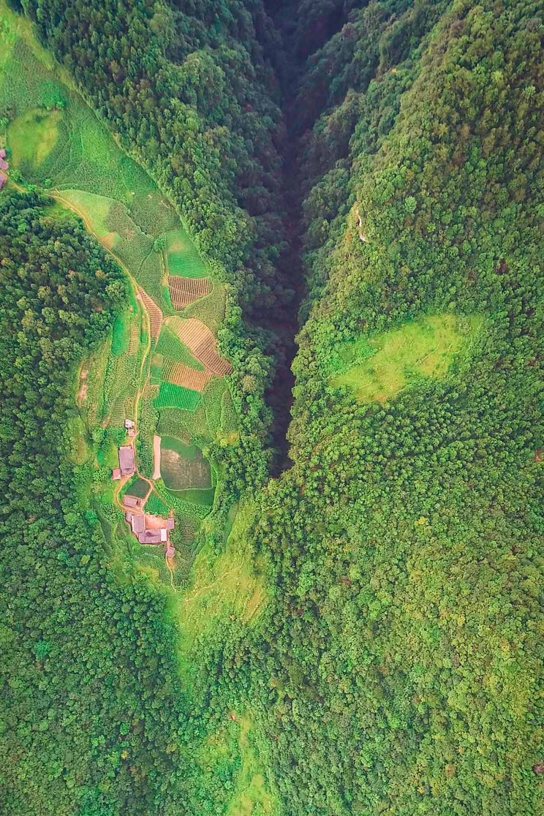 绿色狂想曲,绿色狂想曲三年级