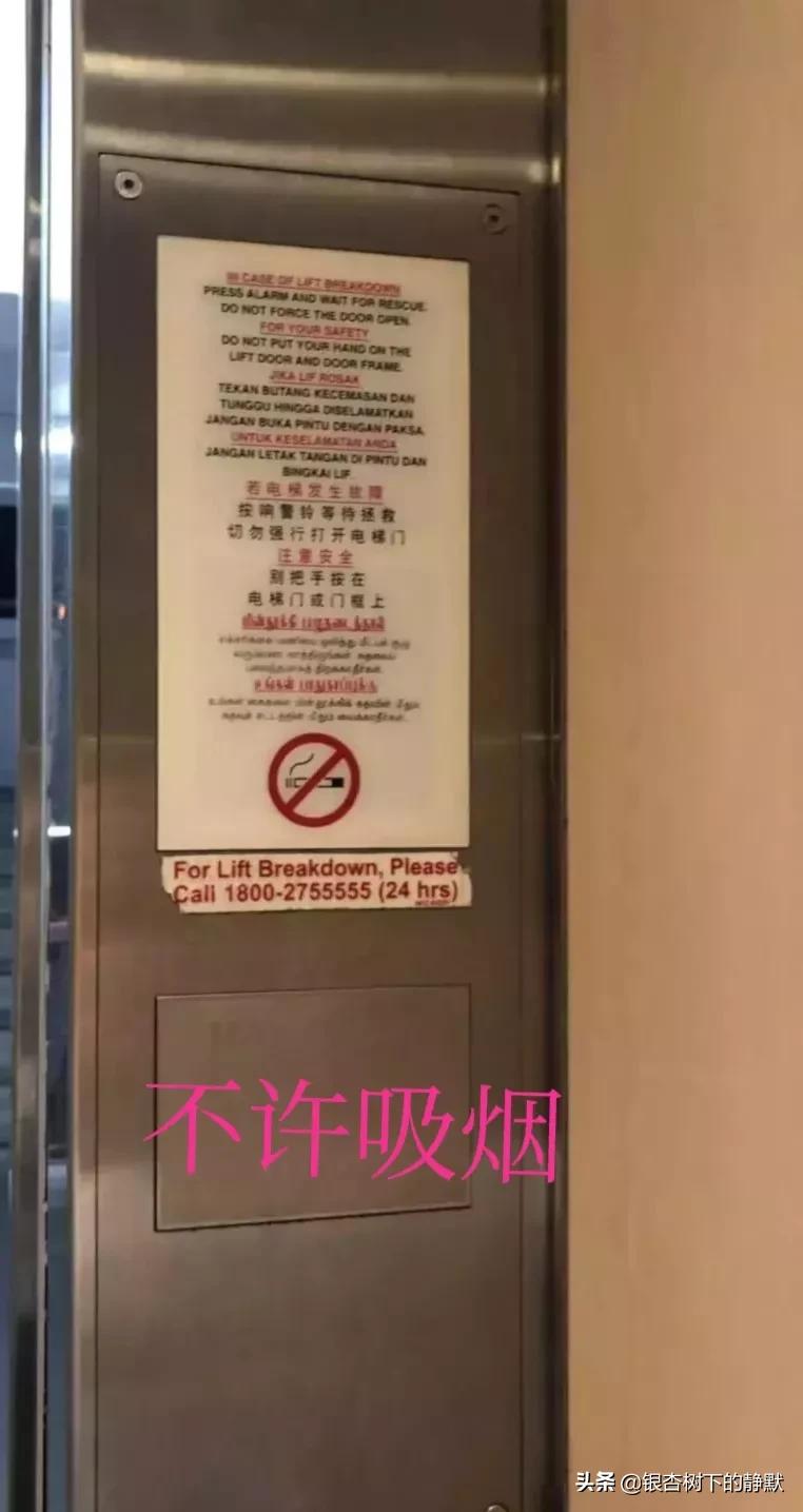 新加坡华人童年回忆,新加坡历史回忆录