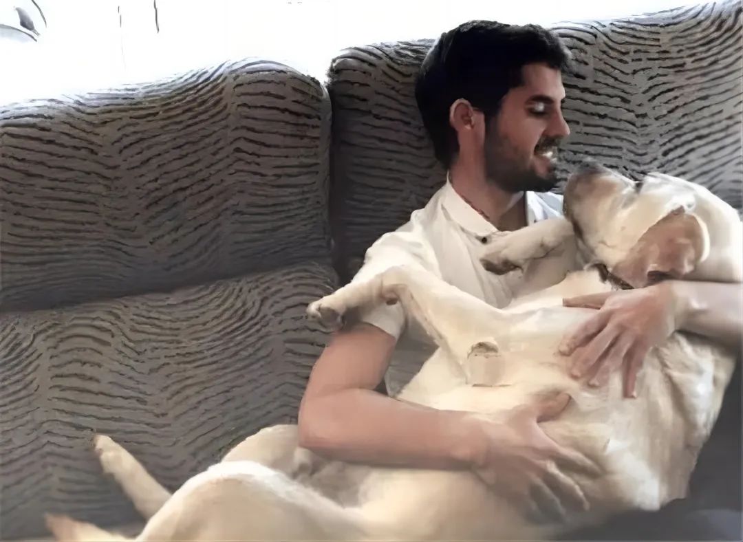 足球运动员养的宠物,各种足球球星的宠物