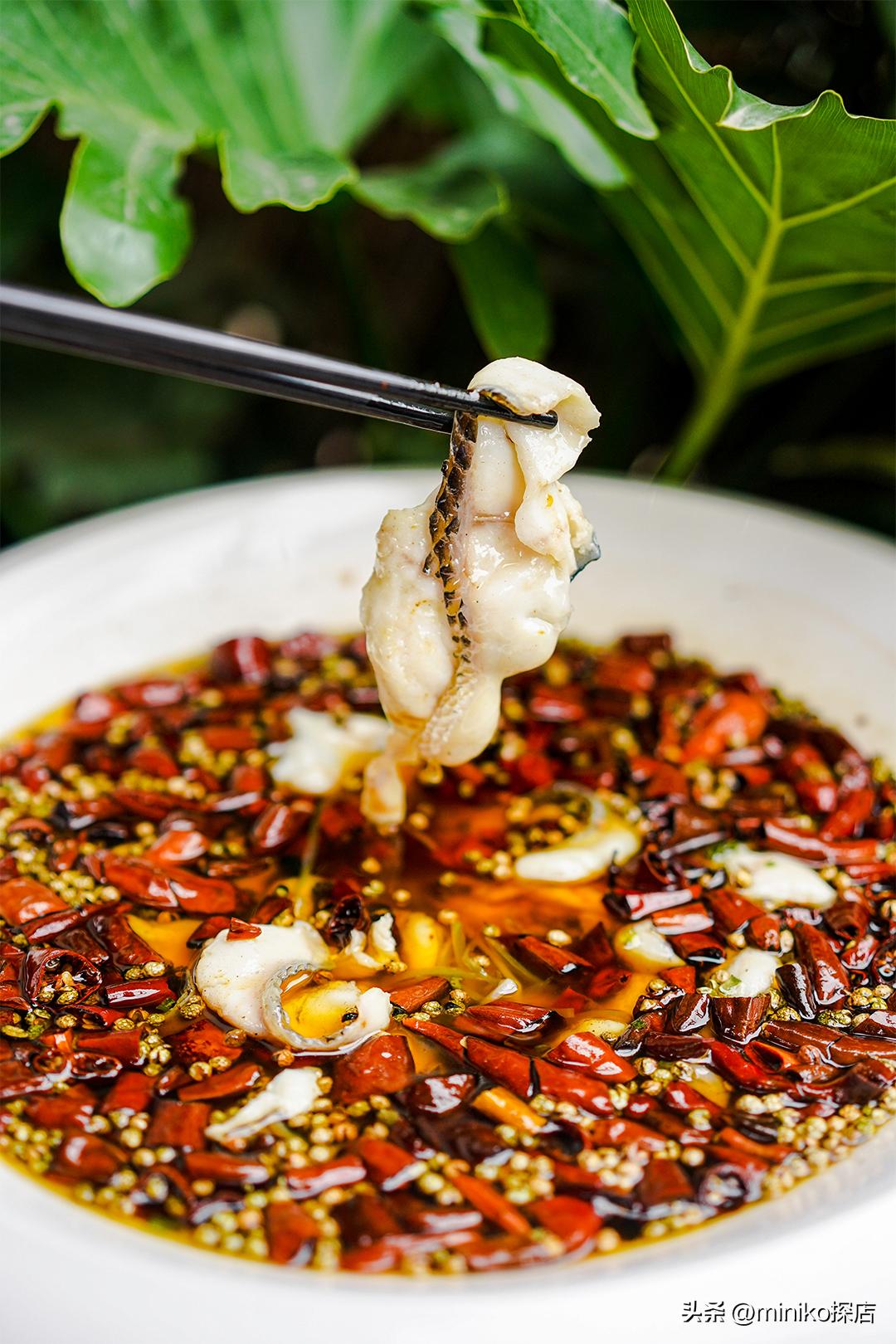 好吃又平价的川菜,成都经济实惠川菜