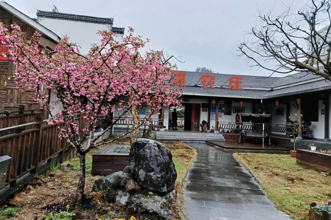 古徽州秋季自由行攻略,寻梦江南水墨徽州皖南古村落游记