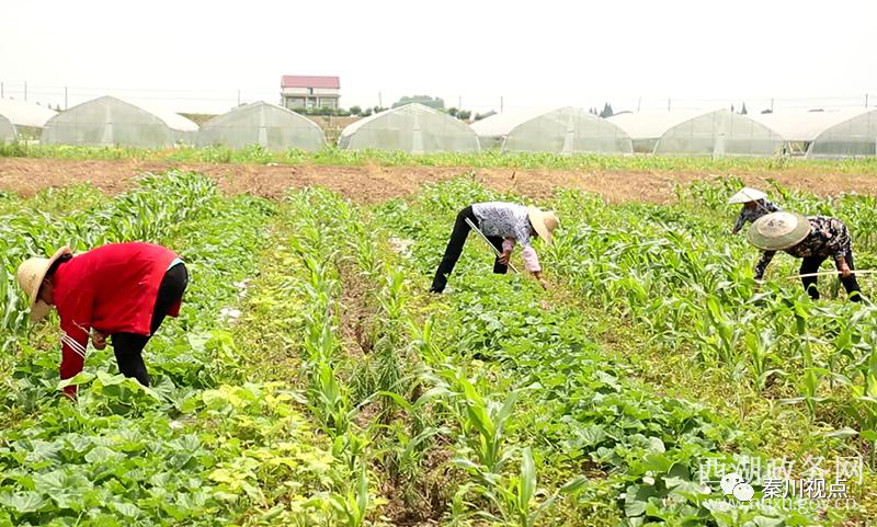 如何看待农民工资,农民工对薪资的需求