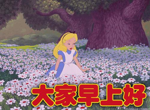 最新早上好表情动图,早晨好最新的表情图片