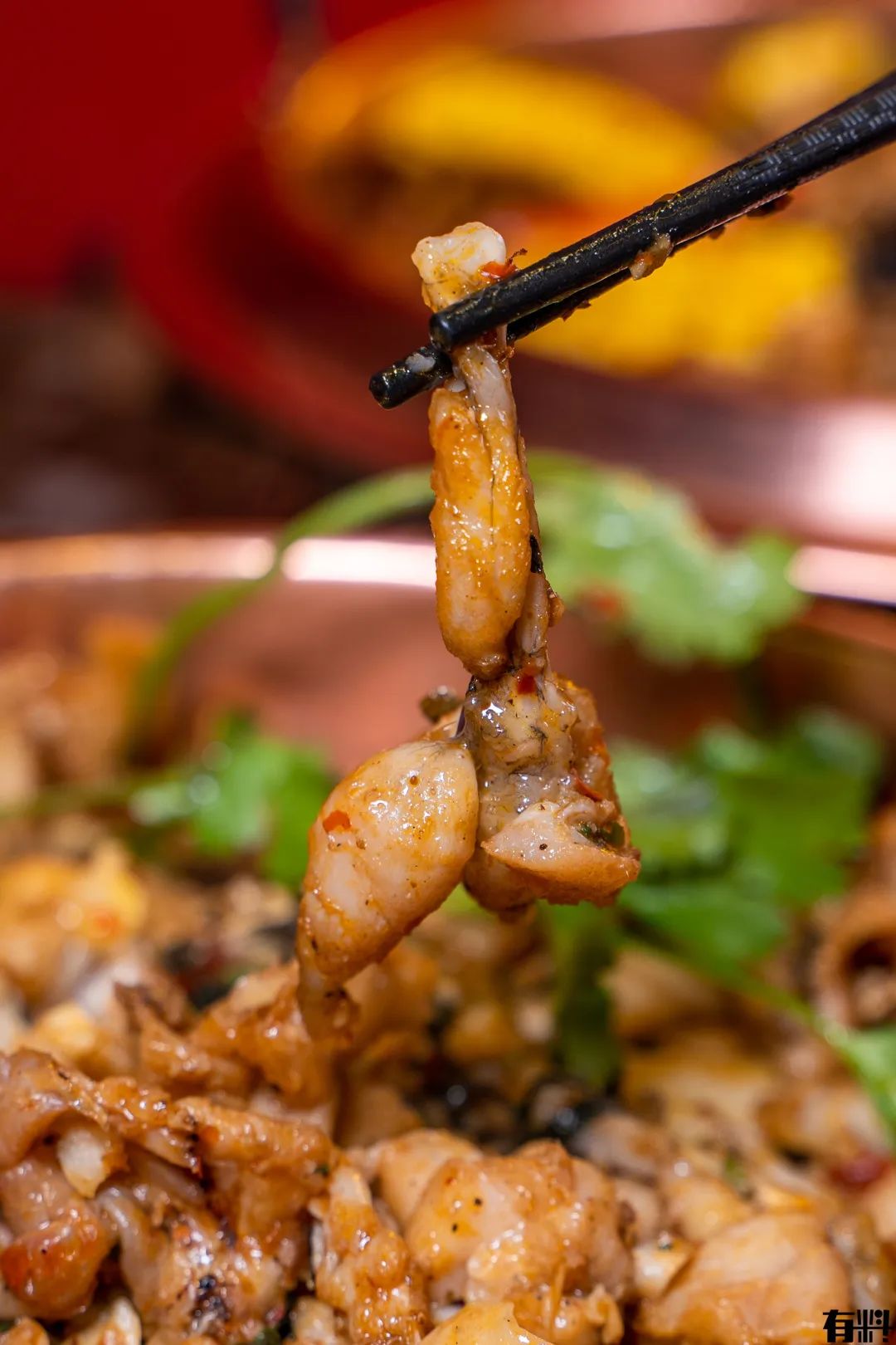 松山湖牛蛙,松山湖万象汇牛蛙团购