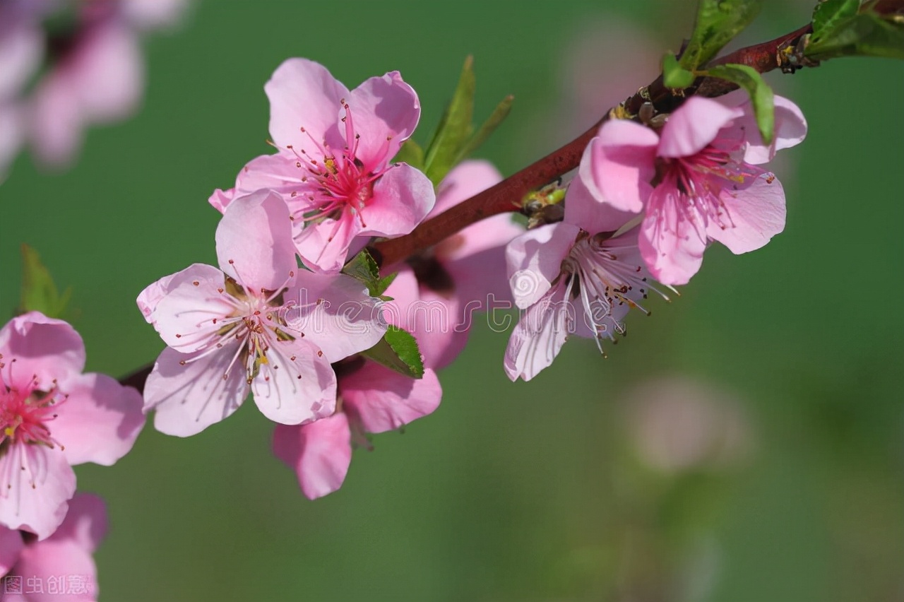 小学生怎样能改掉写错别字的习惯,小学老写错别字怎么办