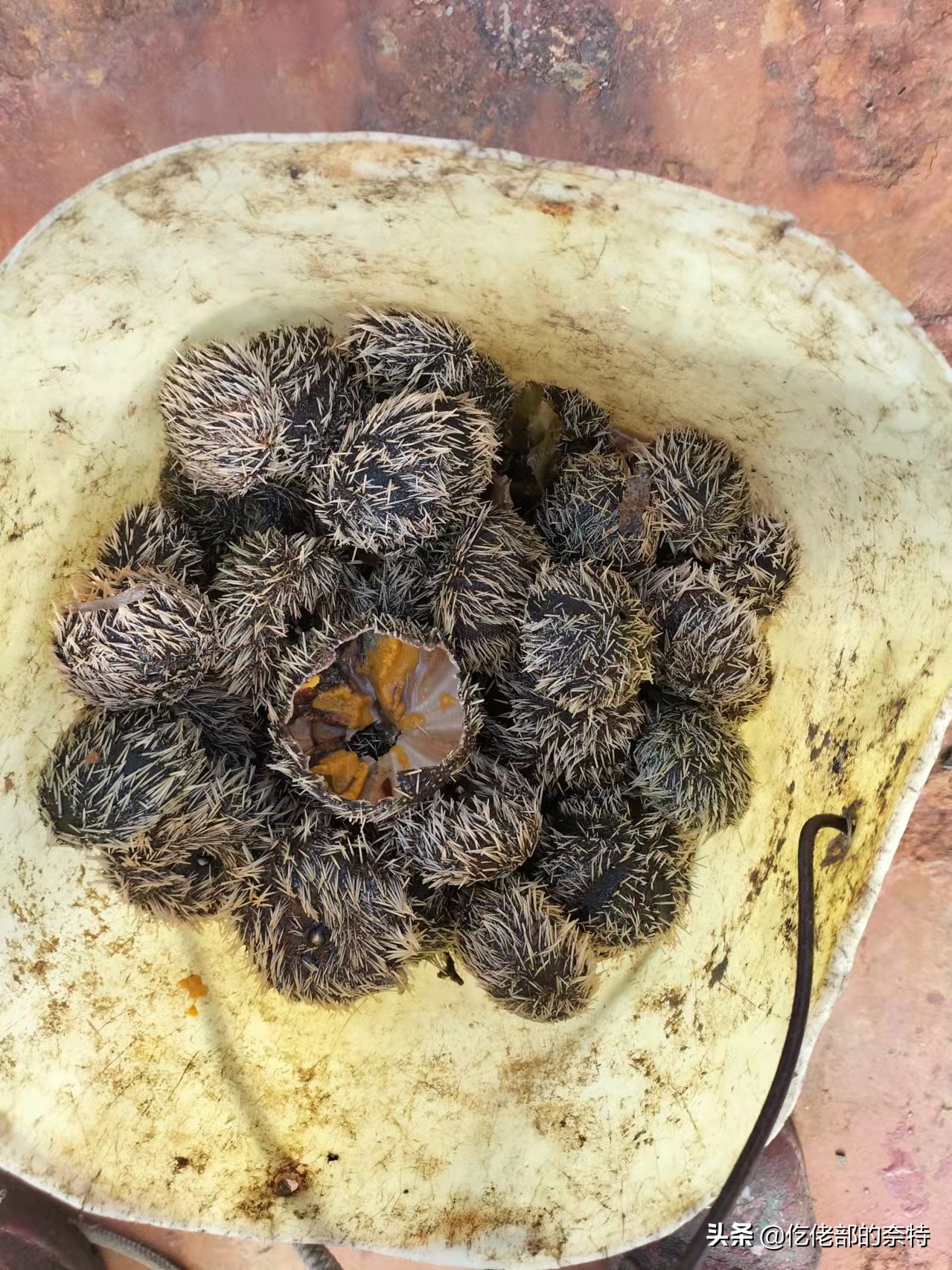 远洋船员从国外带多少免税,远洋海员带的东西