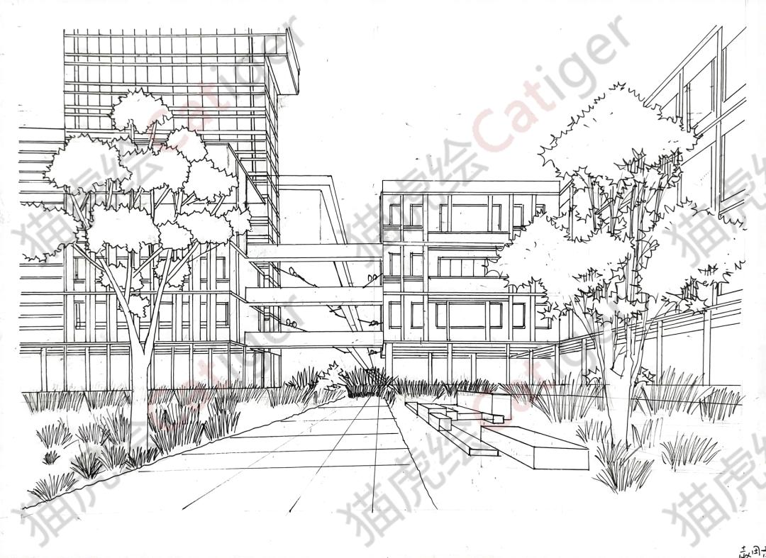 猫虎画,猫虎绘画