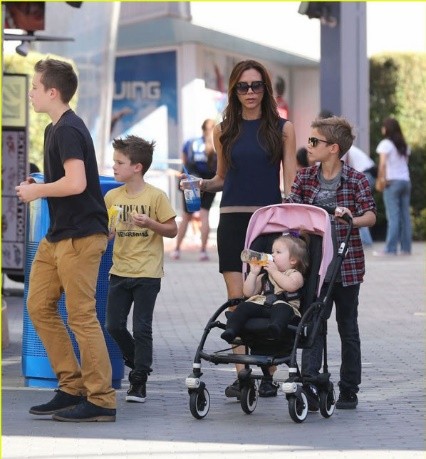 贝小七被宠上天,贝小七成长