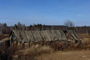 三十年的朋友大庆在童年时就是我们的楷模，原因不是因为他帅