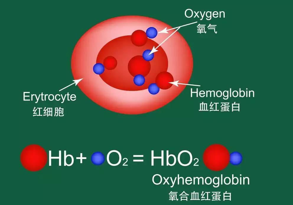 血氧仪被疯抢，它怎么能测出血氧浓度？智能手表或手环能代替吗？