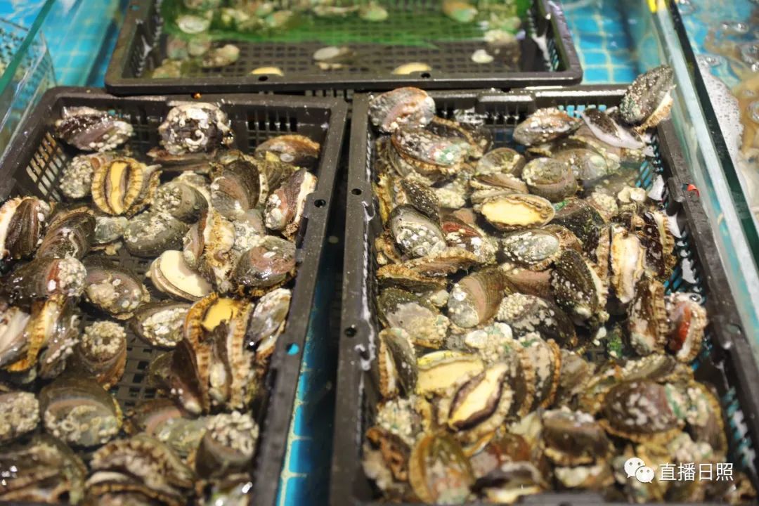 封海倒计时威海海鲜涨价了吗,封海前后海鲜价格对比