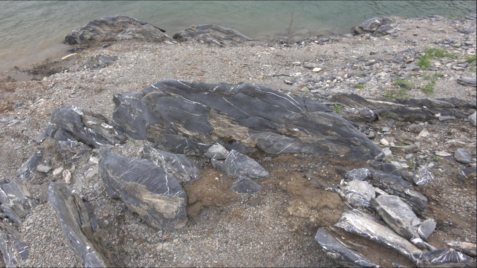 饮水思源的水是什么水,饮水思源的源怎么写