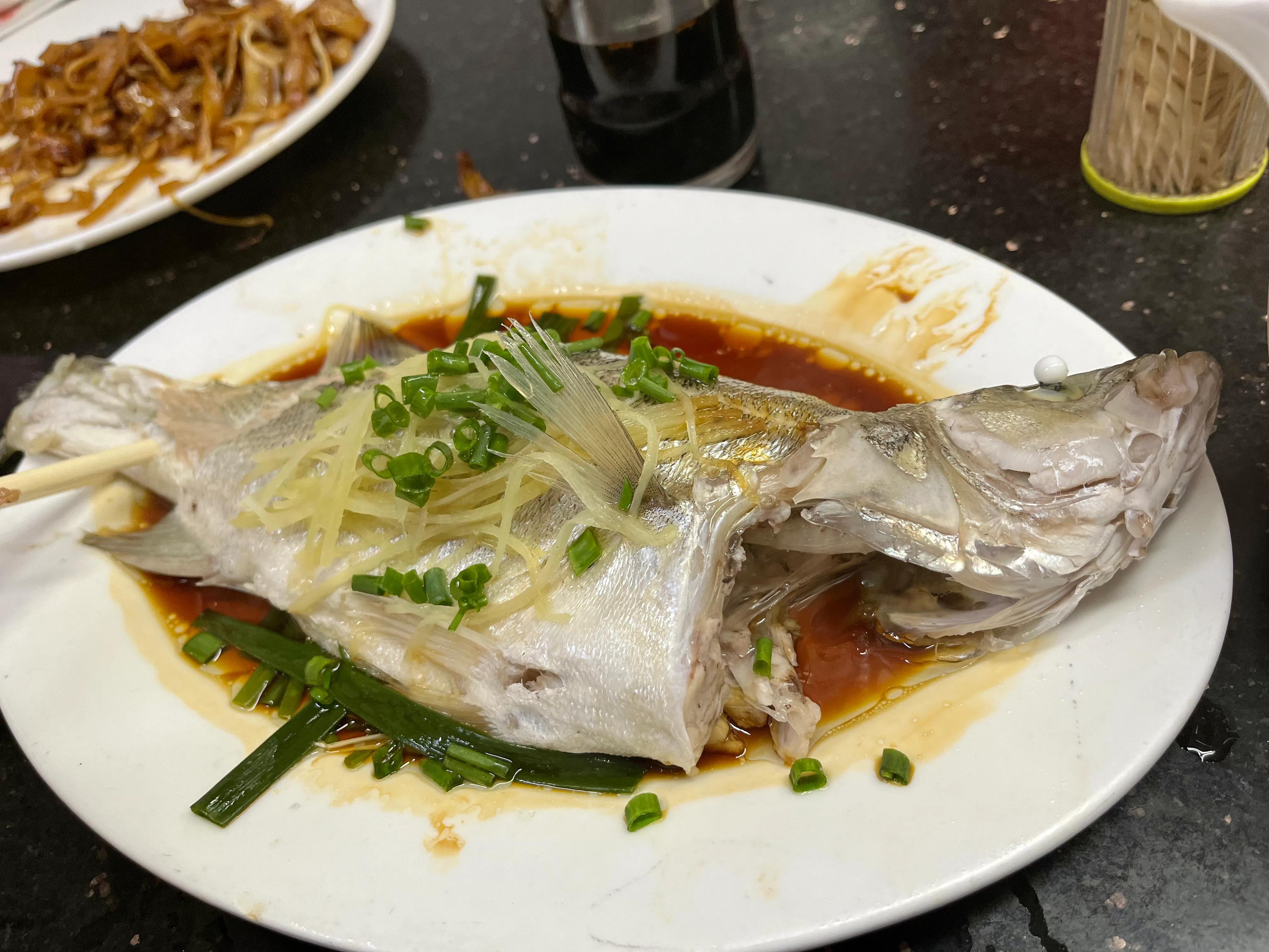 澳门一日游必备的攻略,澳门游攻略四天