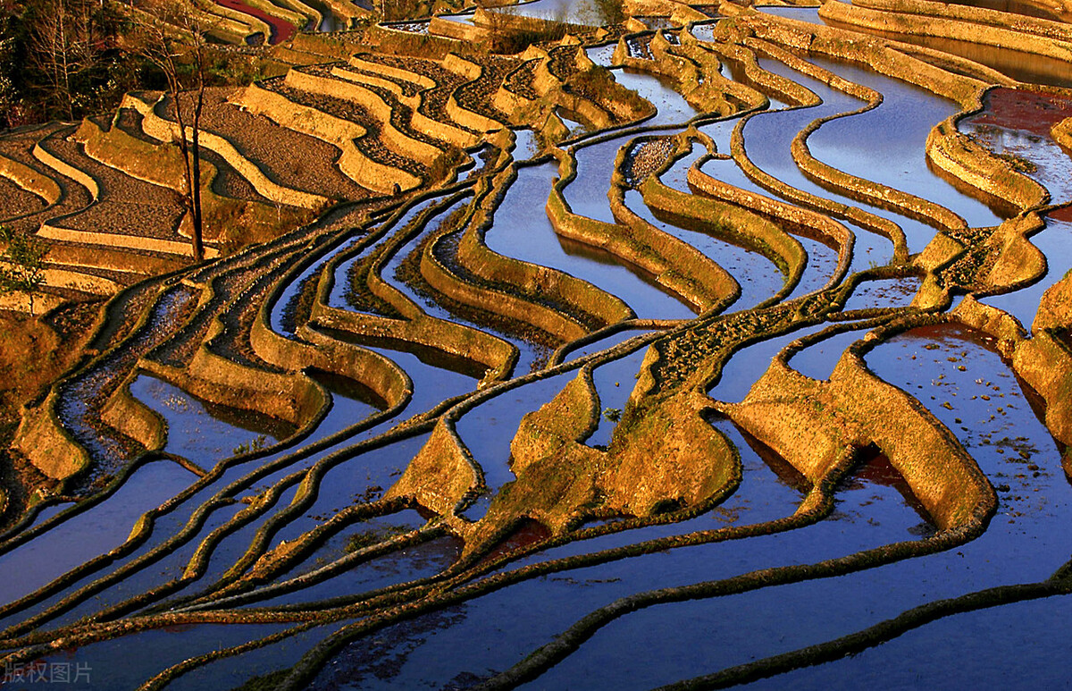 2020年中国最热的一条自驾大环线,2021年最佳自驾路线回顾