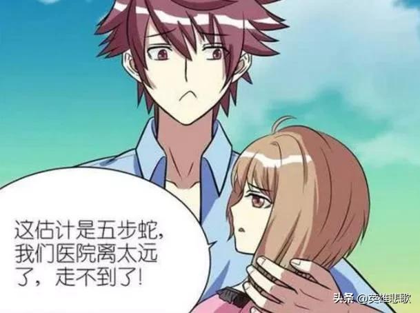 莽山烙铁头17.7公斤是真的吗,莽山烙铁头5000一条是真的吗