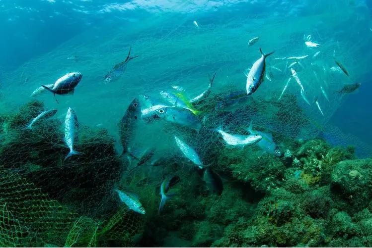 海南特色产业发展前景,怎么样发展农村特色产业