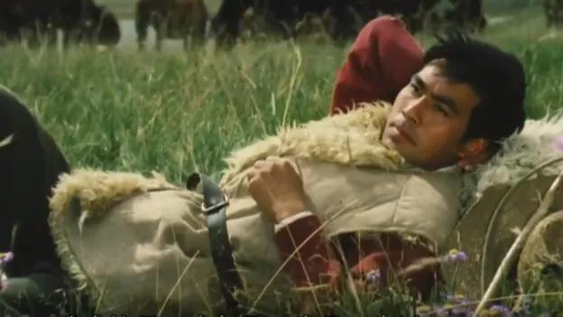 牧马人观后感100篇,看完牧马人的观后感