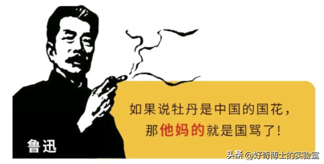 为什么全世界骂人都在骂别人娘，而不是骂爹？是瞧不上爹吗？