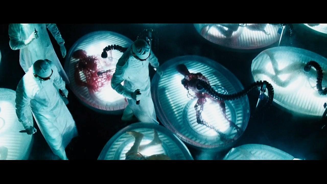 日本人动物胚胎实验长啥样,日本人动物胚胎实验