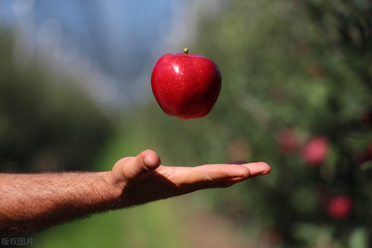 俄罗斯恢复进口中国水果了,俄罗斯恢复进口中国柑橘类水果