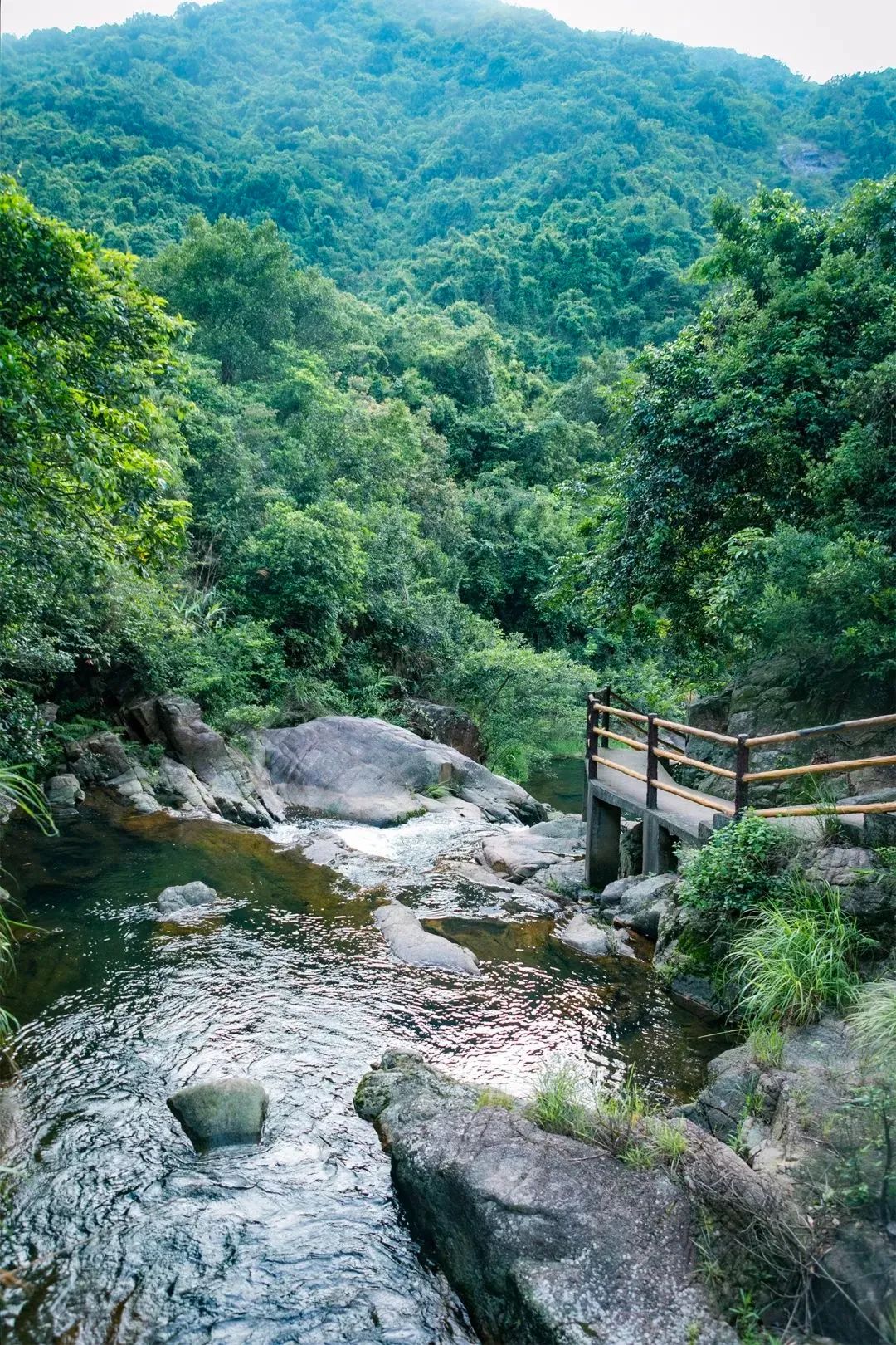周末来深圳这10个地方免费玩,深圳周末去哪玩免费的地方