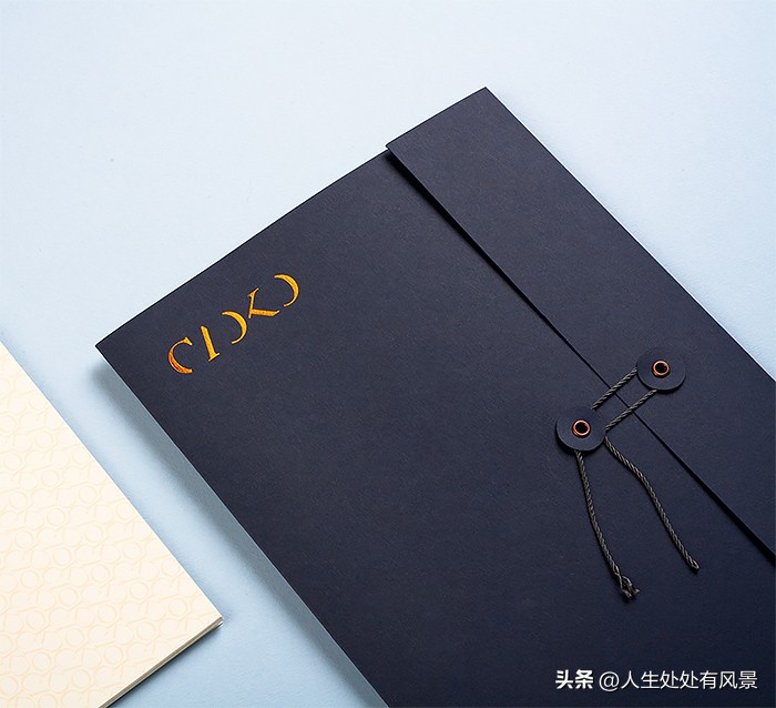 国外品牌vi设计案例,vi包装设计图文